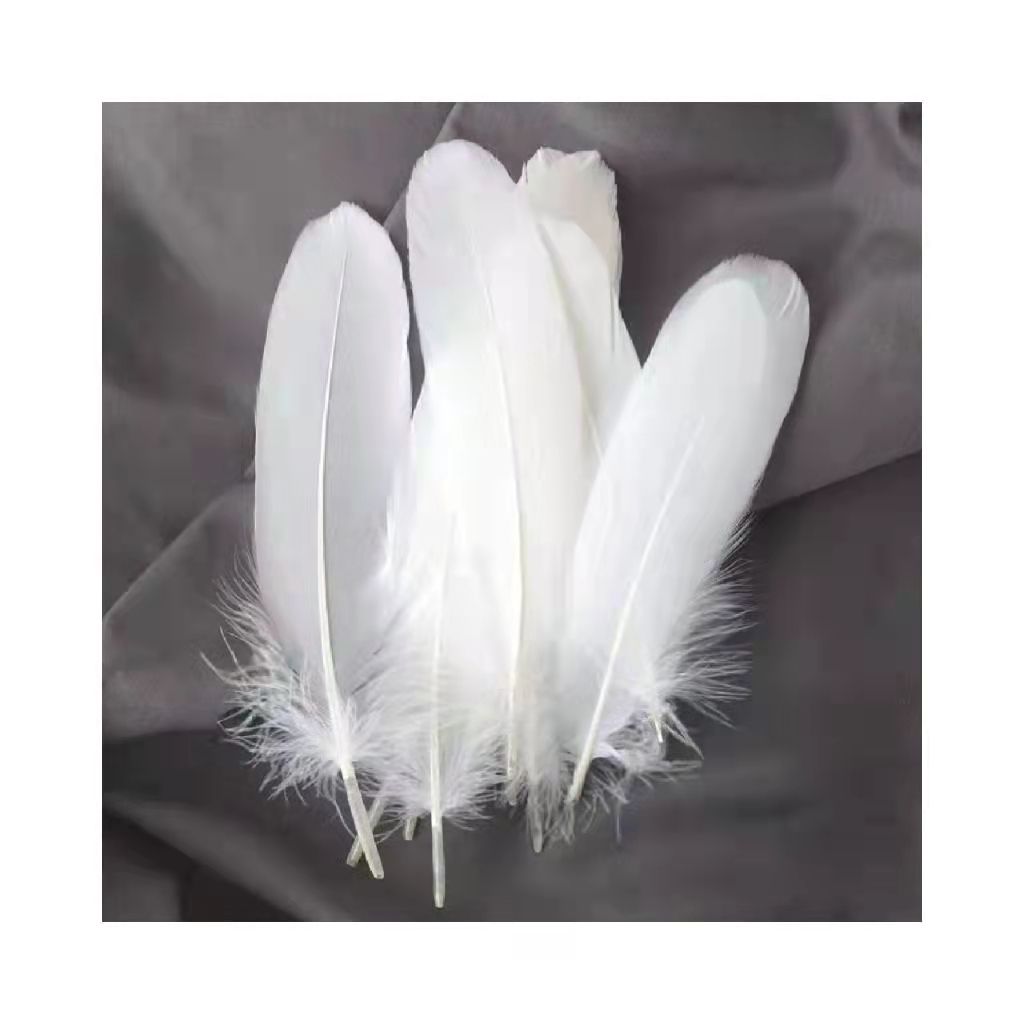 Badminton raw material washed goose feather for shuttlecocks