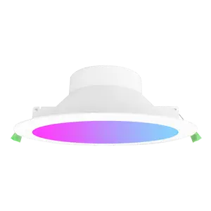 230mm découpe 8 "TUYA plastique revêtu d'aluminium IP44 commutable RGB + CCT personnalisable Flat Smart LED down light