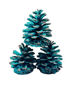 هيها مخاريط صنوبر طبيعية مع مسحوق نار سحري مزيج مثالي لملحقات التخييم والحفلات النارية النارية السحرية - Product Image 4