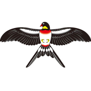 Cerf-volant de pêche dynamique 20cm 30cm 35cm 50cm 60cm pour enfants, motifs Perroquet Aigle Hirondelle Papillon, avec cadre en bambou et tissu en fibre synthétique - Product Image 1