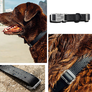 Impermeable Popular de alta Flex de goma de silicona de las olas de Nylon recubierto de PVC <span class=keywords><strong>Collar</strong></span> de perro - Product Image 6