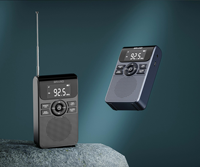 FM/AM Tragbares Digitalradio mit LCD-Uhr, Wecker und Einschlaftimer