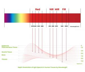 Glpe 60W Appareil de luminothérapie rouge professionnel à 5+2 longueurs d'onde pour animaux de compagnie, pour la récupération post-chirurgicale à domicile - Product Image 5