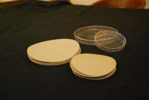 กระดาษทดสอบการงอกของเมล็ดพันธุ์ เส้นผ่านศูนย์กลาง 14.2 ซม. สำหรับการประเมินอัตราการงอกและการเพาะเลี้ยงเมล็ดพันธุ์พืช - Product Image 6