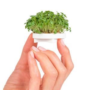 Smart Indoor Hydroponic <strong>Grow</strong> System <strong>10X20</strong> Microgreens <strong>Tray</strong> Tool Set Biodegradable Microgreen Kit - Product Image 6