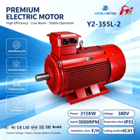 Moteur électrique à induction triphasé IE3 à 2, 4 ou 6 pôles, 315 kW, 430 CV, en fonte, avec boîtier en fonte
