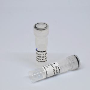 टिन्जाइम फास्टस्टार डाना पोलीमरेज़ (एक्सो-) 1ku 99% शुद्धता मिश्रण विरोधी ताक़ एंजाइम मोनोक्लोनल एंटीबॉडी pc16e-205 - Product Image 4