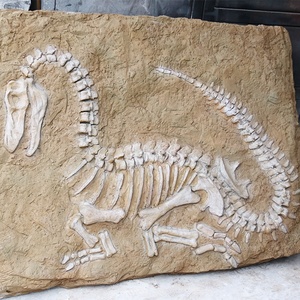 Decoración de Fósil de Dinosaurio Realista de Tamaño Natural para Uso en Interiores, Exhibición Educativa para Niños - Product Image 3