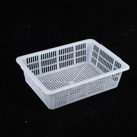 Voedselveilige geventileerde plastic afdruipbak met geperforeerd ontwerp voor eenvoudige opslag en het wassen van fruit en groenten