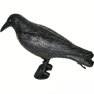 Modèle d'oiseau corbeau noir statique à texture réaliste pour l'extérieur, équipement <span class=keywords><strong>de</strong></span> tir sur le terrain, leurre <span class=keywords><strong>de</strong></span> chasse au corbeau en plastique durable résistant aux intempéries - Product Image 3