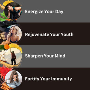 מפעל לספק הטוב ביותר הנמכר איכות העליון shilajit תמצית שרף כמוסות קורדיציפים ג 'ינסנג שילאג' ט כמוסות - Product Image 3