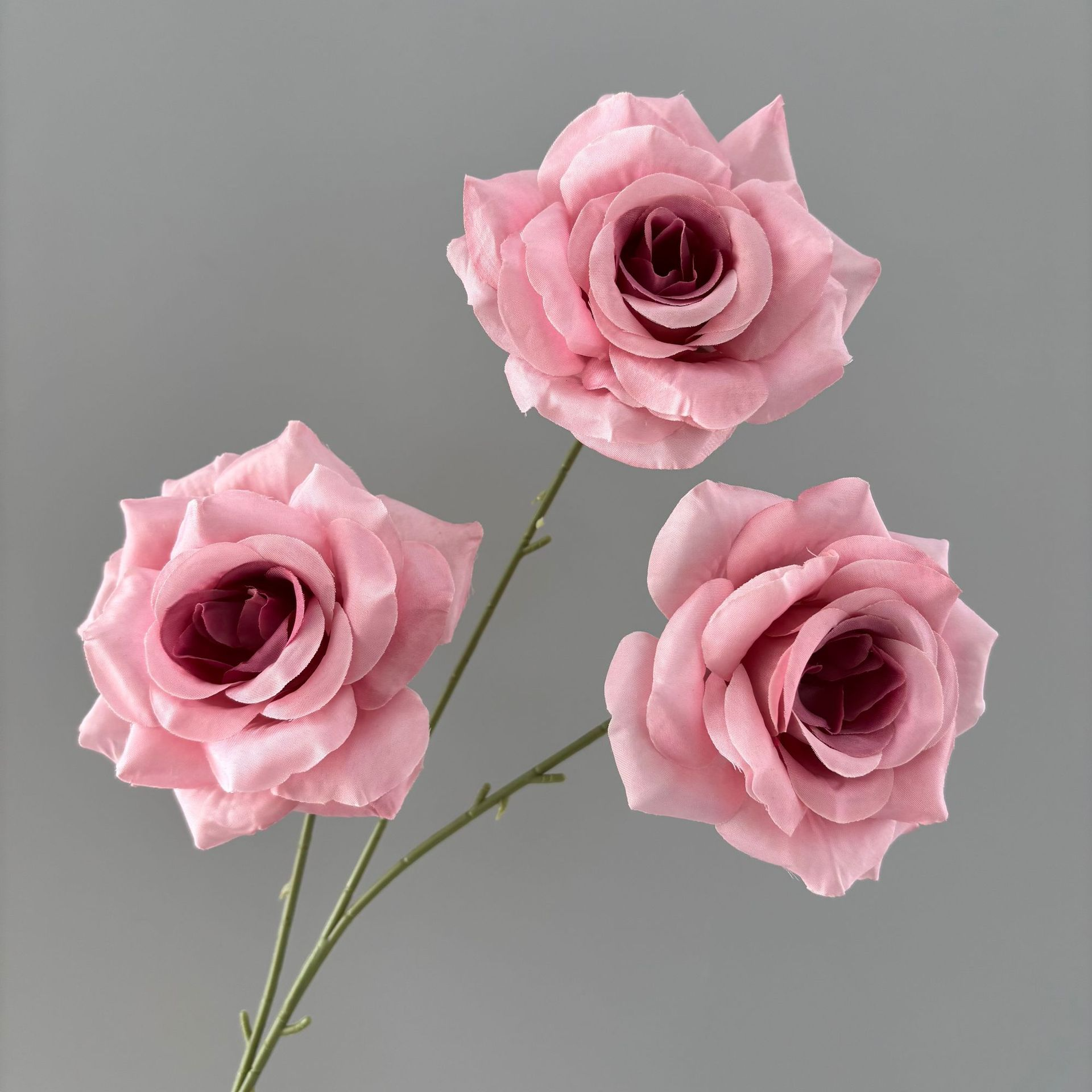 สีชมพูเข้ม