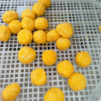Machine à paner commerciale |   Machine automatique à paner les nuggets de poulet et les filets de poisson pour les usines de snacks