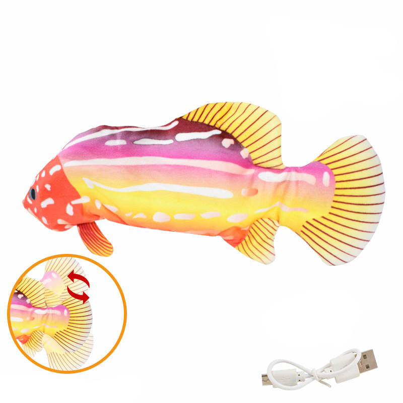 12. Poissons tropicaux