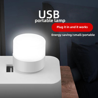Lámpara de Mesa LED, Luz Nocturna USB, Mini Lámpara de Lectura, Artículos Decorativos, Luz Blanca Cálida, Protección para los Ojos, Venta al por Mayor para Dormitorio