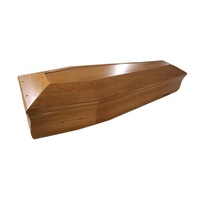 Cercueil en bois massif de Style européen de haute qualité vente directe accessoires de cercueil en plastique pour les funérailles mortuaire essentiel