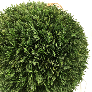 Hojas de ciprés de cedro Artificial, planta, hierba topiaria, <span class=keywords><strong>bola</strong></span> - Product Image 3