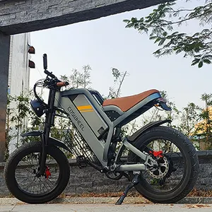 Coswheel en çekici GT20 48v/750w velo electrique yağ elektrikli bisikletler yüksek güç Hub motorlu bisiklet yetişkin için bisiklet