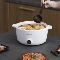Offre Spéciale Antiadhésif mini multifonctionnel Hot pot poêle Poêle Électrique À Vendre