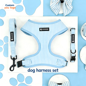 Set Personalizzato di Guinzaglio e Collare per Cani, Imbracatura Regolabile in Neoprene con Etichetta Privata - Product Image 1