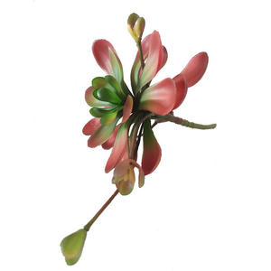 Planta <span class=keywords><strong>Suculenta</strong></span> Artificial de Alta Simulación, <span class=keywords><strong>Flor</strong></span> de Loto Artificial para Decoración de Paredes del Hogar, Planta Artificial Decorativa - Product Image 6