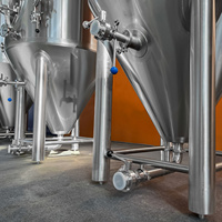 Fermenteur 100L 1BBL 200L 300L 400L cuve de fermentation SS304 de catégorie comestible dans les barres
