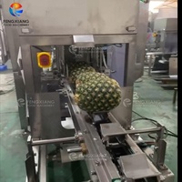 Volledig Automatische Hoge Productiviteit Fruit Ananas Continue Schilmachine 304 RVS CE Gecertificeerd 220V/380V 1 Jaar Garantie