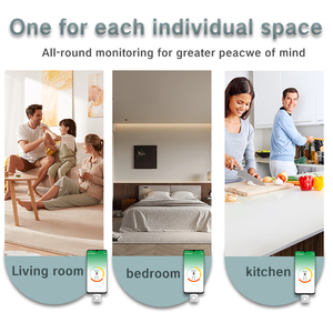 Hoge Precisie Draagbare <span class=keywords><strong>Formaldehyde</strong></span> Gasdetector Voor Binnenluchtkwaliteitsmonitor - Product Image 6