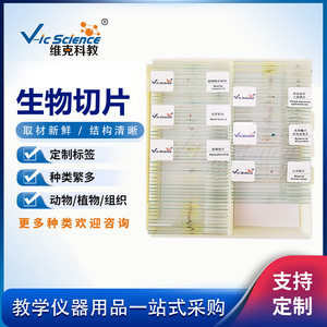Equipo de enseñanza de biología: Juego de 100 tipos de especímenes de animales y plantas, en stock, para observación microscópica en portaprobetas. - Product Image 5