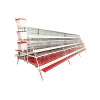500 Cages pour poules pondeuses Cage pour poulets de chair