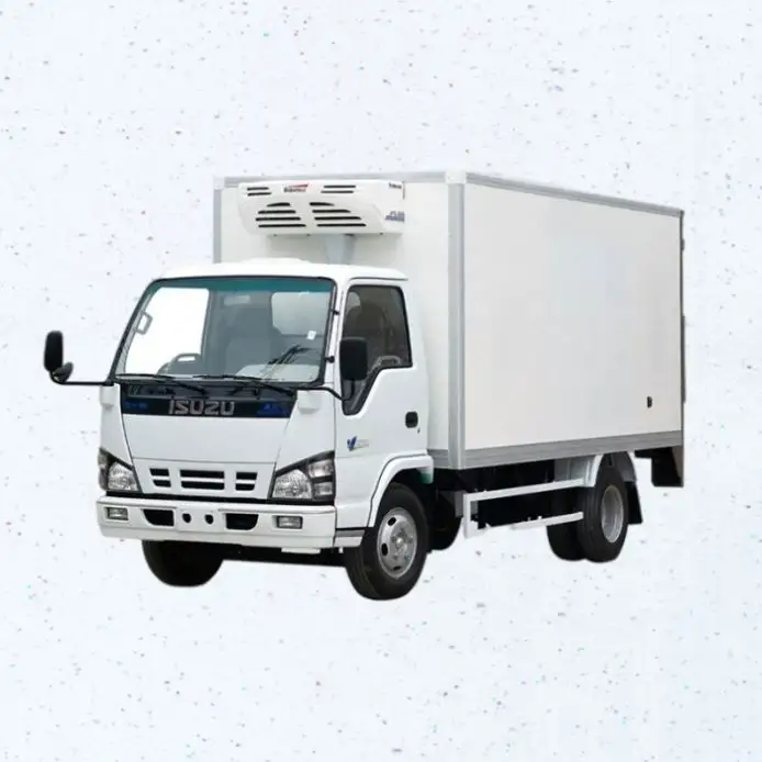 Réfrigérateur portable, camion, congélateur, 10 l, pour camion, cargaison, crème glacée