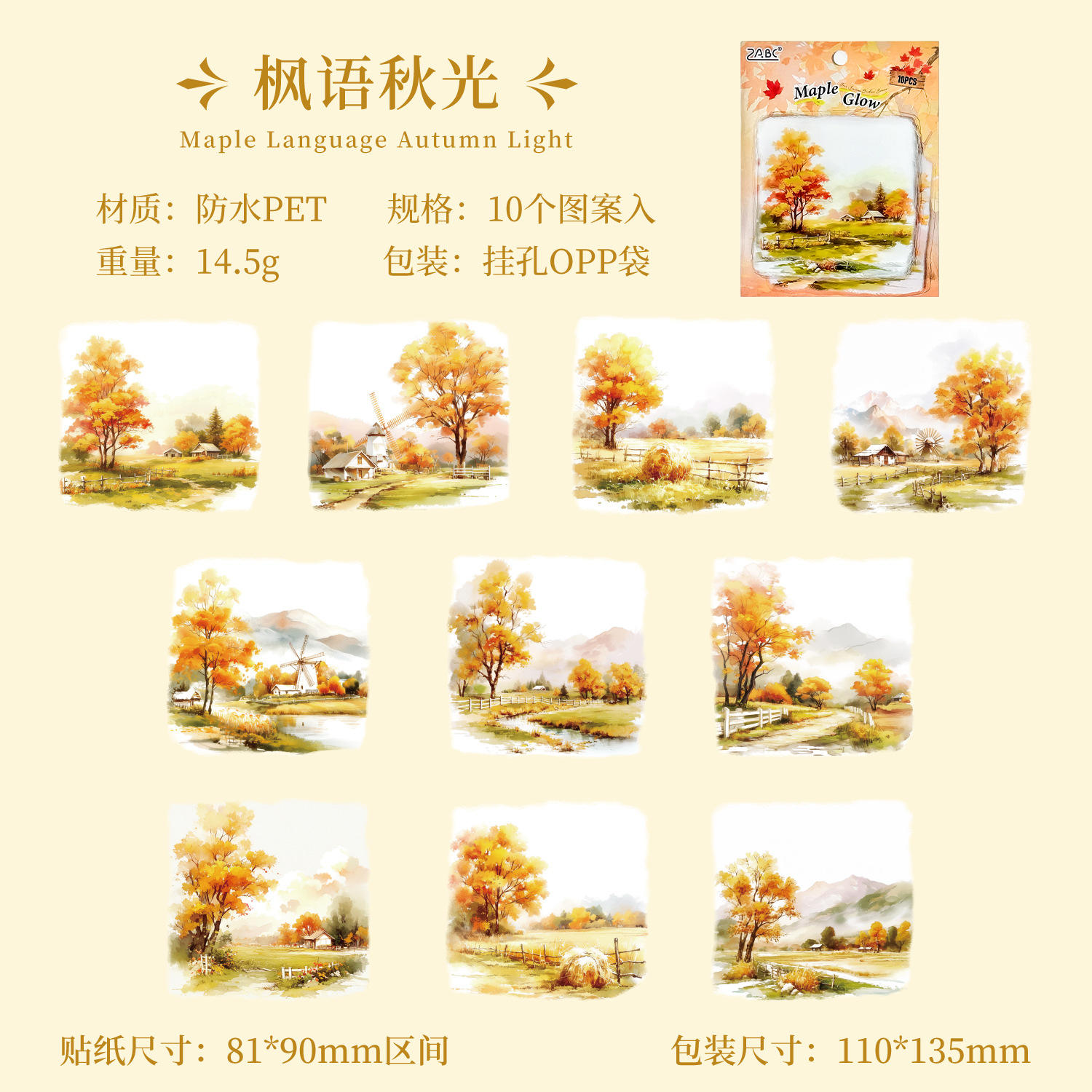 C Maple Autumn Light