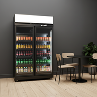 Refroidisseur portatif de compresseur d'acier inoxydable d'affichage à LED numérique à température unique pour des hôtels dépanneurs barre réfrigérée