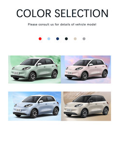 Vehículo Eléctrico Nuevo Wuling Bingo <span class=keywords><strong>de</strong></span> Gran Venta, 41 CV, Cinco Puertas, Cuatro Asientos, <span class=keywords><strong>Coche</strong></span> Pequeño <span class=keywords><strong>de</strong></span> Dos Voluminosos Volúmenes - Product Image 4