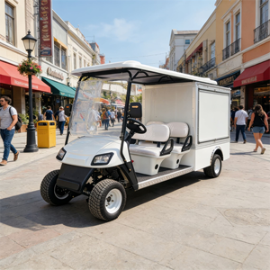 Voitures de golf électriques de luxe 4+2 places pour 6 personnes, avec batterie au lithium, sièges intelligents haut de gamme, couleur métallique, prix d'usine - Product Image 2