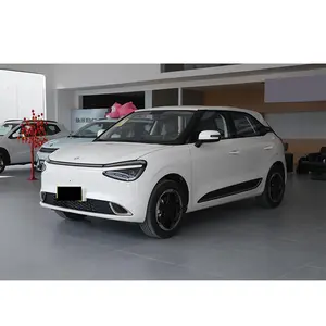 Trong kho Trung Quốc Nhà cung cấp dongfeng giá rẻ năng lượng mới xe Nami hộp nanomet Nami 01 Bốn bánh xe cho người lớn giá rẻ xe