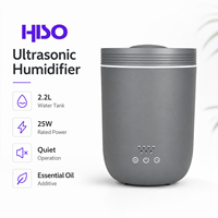 Humidificateur d'air ultrasonique en plastique de 2,2 L, 1 buse, fonctionnement silencieux, minuterie d'arrêt automatique 2/4/8H, diffuseur d'huiles essentielles, AC 25W