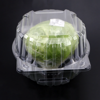 Boîte d'emballage en plastique pour laitue vivante, conteneur en plastique transparent pour laitue hydroponique, conteneur à charnières, coquille recyclée