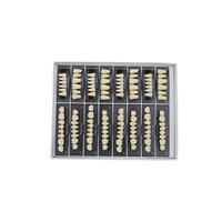 Ensemble complet de dents artificielles en résine synthétique, dents antérieures et postérieures, prothèses dentaires, fausses dents pour laboratoire dentaire, fabrication de prothèses