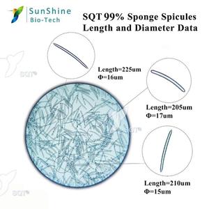 Экстракт лагустры spongilla, независимые исследования и разработка, 99% губок spicule - Product Image 4