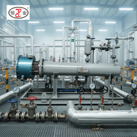 Chauffe-eau électrique antidéflagrant en acier inoxydable 300 kW IP56 Ex IIC T4 sur châssis pour système de régénération de pipeline et transfert de chaleur