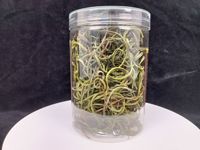 Tisane aux herbes Aao Xiao Ye pour l'essence rénale, à base de plantes sauvages sélectionnées, d'herbe fossile et d'herbe dorée de la montagne de Changbai, thé en vrac (en boîte) frais et sec