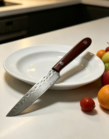 Fruitmes Damascus staal lemmet houten handvat duurzaam