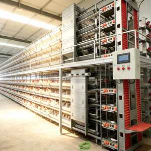 Sistema de Jaulas Comerciales de Acero de Alta Resistencia y Rentables para Aves de Corral, Jaulas para Pollos de Engorde y Criaderos - Product Image 1