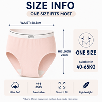 Al por mayor Bragas de mujer sin costuras acanaladas de tiro medio con lazo y letras tejidas, suaves, transpirables, de alta elasticidad, con refuerzo antibacteriano 10A, ODM
