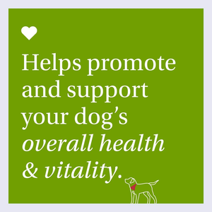 Suplemento multivitamínico <span class=keywords><strong>para</strong></span> mascotas 22 en 1 OEM/ODM con vitaminas A E B12 y antioxidantes <span class=keywords><strong>para</strong></span> la salud inmunológica y articular - Product Image 6