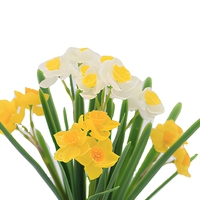Tanaman Pot Bunga Daffodil Kuning & Putih Buatan, Bunga Narcissus Palsu dengan Pot Anyaman untuk Dekorasi Rumah di Meja Dalam Ruangan