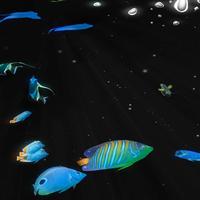 Projection immersive Musée des sciences Aquarium Dôme 3D Planétarium Projecteur Écran de projection plein dôme