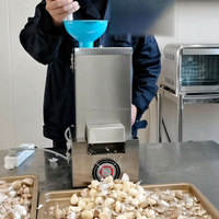 Machine à peler l'ail électrique 25 kg/h, éplucheur d'ail industriel en acier inoxydable pour la transformation alimentaire en cuisine