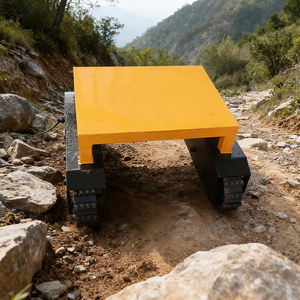 هيكل زاحف كهربائي صغير بجهاز تحكم عن بعد مصنوع في الصين روبوت ذكي زاحف للمشي - Product Image 2